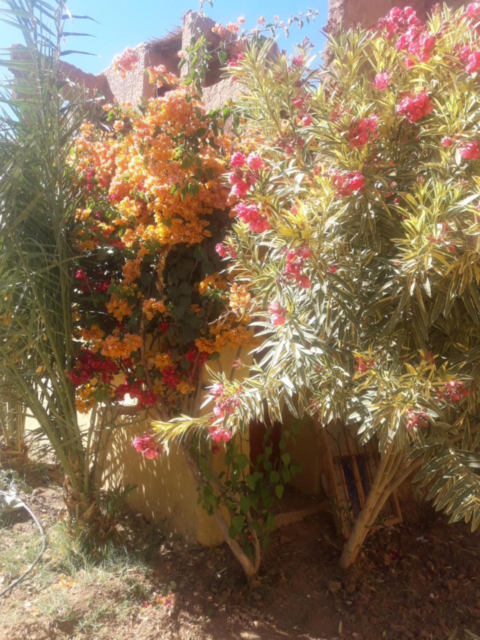 Kasbah Timidarte Hotel Zaouita Bou Lhassane Luaran gambar